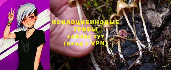 прущий лед Михайловка