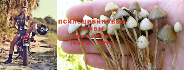 спайс Медногорск