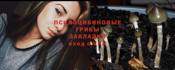 спайс Медногорск