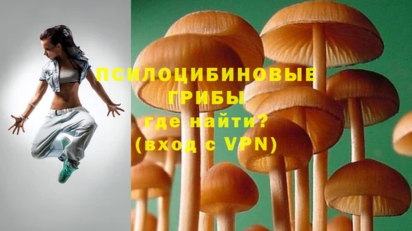 прущий лед Михайловка