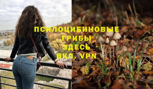 спайс Михайлов