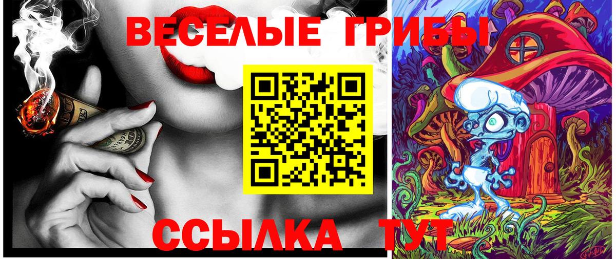Галлюциногенные грибы Psilocybine cubensis Великий Новгород