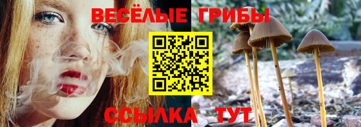 Великий Новгород  Галлюциногенные грибы мицелий  как найти   Вход с VPN 