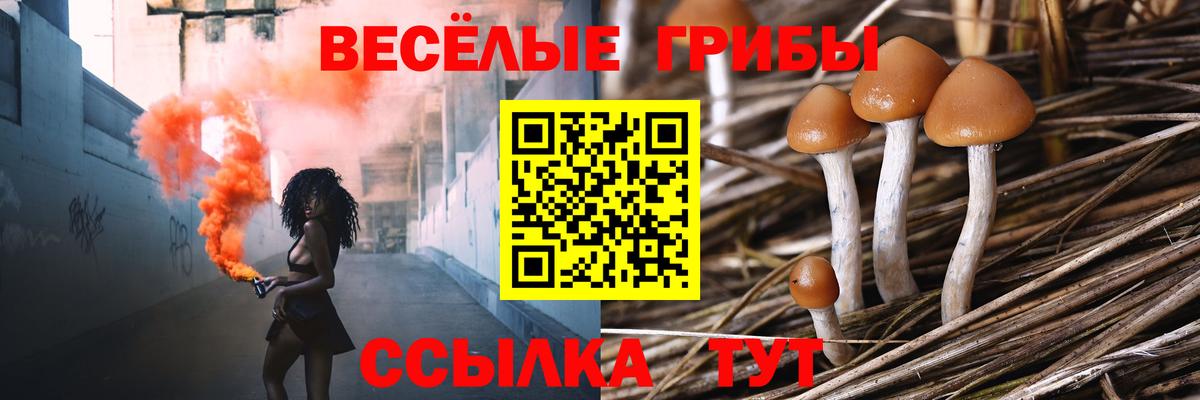 Псилоцибиновые грибы мицелий Великий Новгород